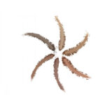 MUA SANDSTORM SHADE & SCULPT POWDER - Image 3